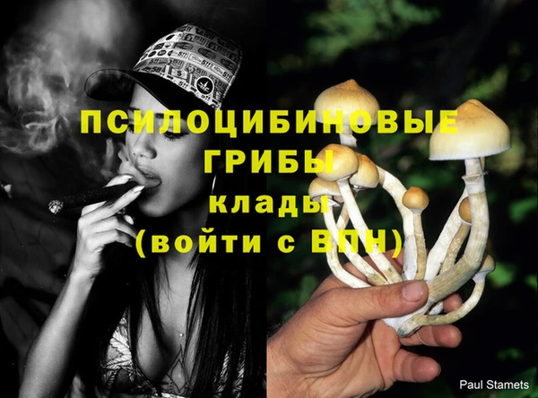 соль курить ск Володарск